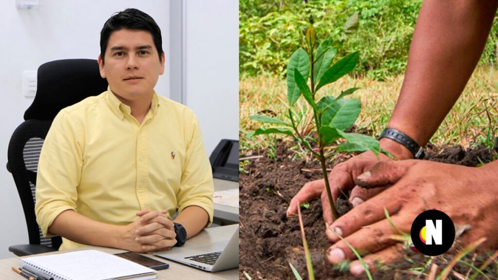 ‘Cada metense tiene que sembrar diez árboles que les vamos a donar’: Secretario de Ambiente